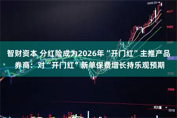 智财资本 分红险成为2026年“开门红”主推产品 券商：对“开门红”新单保费增长持乐观预期